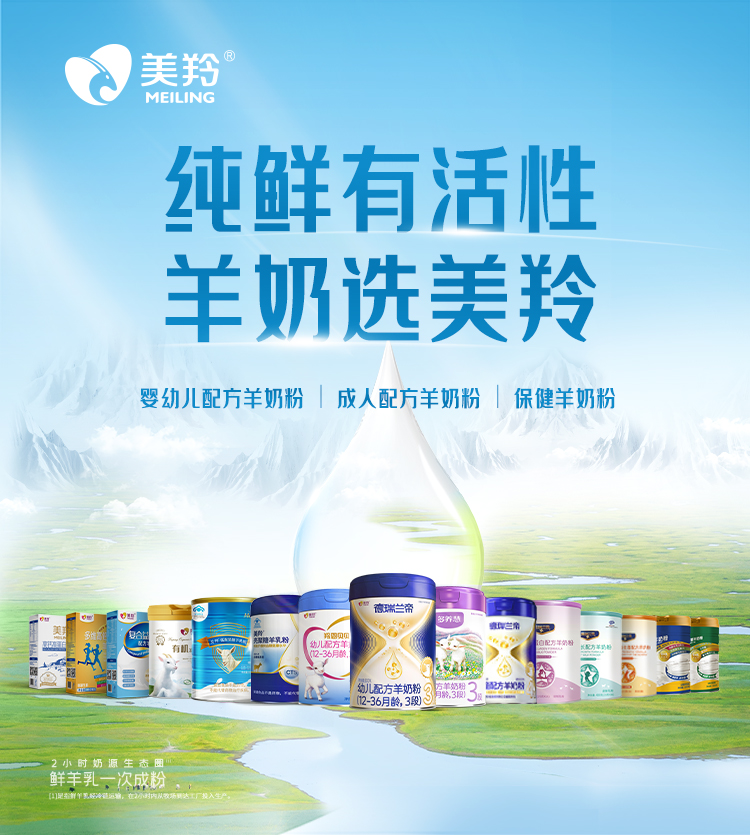 白露 | 一叶凝清露，鲜活润日常