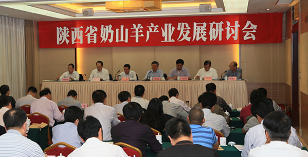 1-151203141034925 ng28.com - 相信品牌的力量