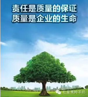 1-151206164014V4 ng28.com - 相信品牌的力量
