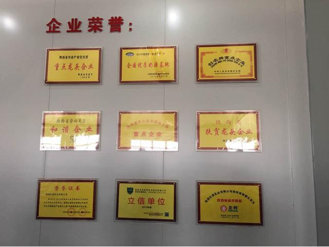 ng28.com - 相信品牌的力量