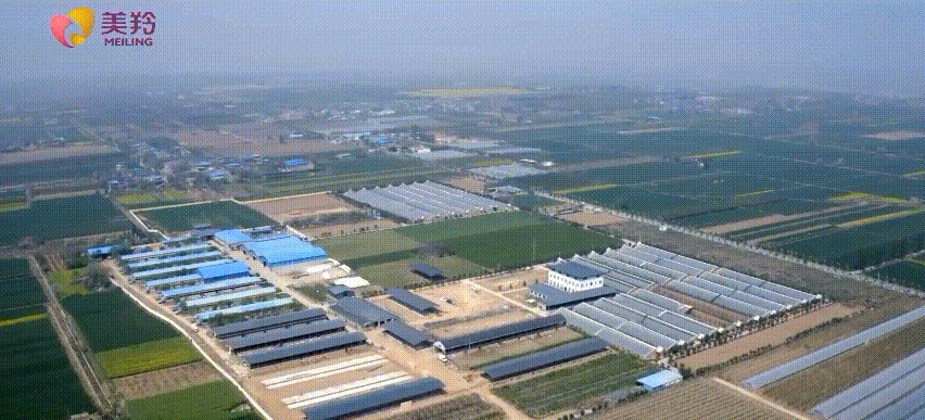 1642496488123798.png 图片.png
