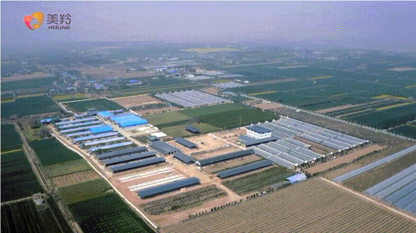 1655890209123346.png 图片.png