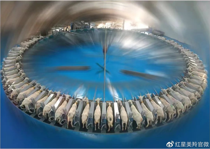 1686120546594441.png image.png