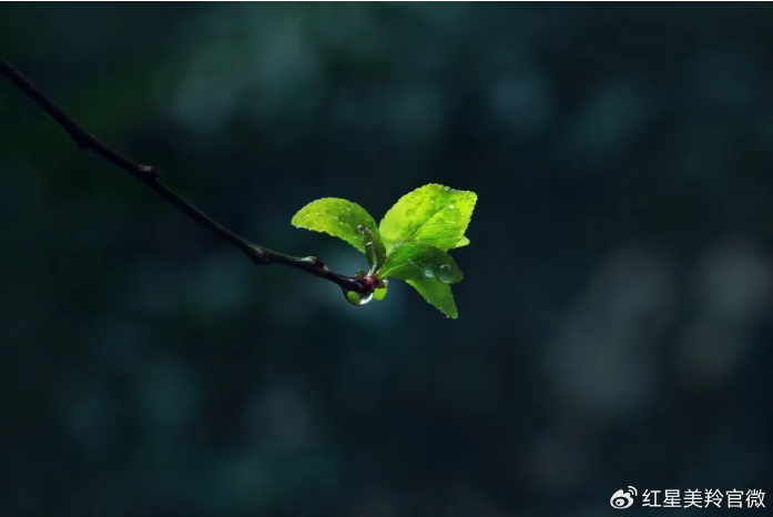 1708323032278716.png image.png