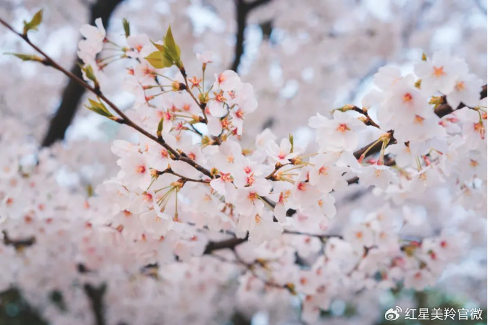1712139921129775.png image.png