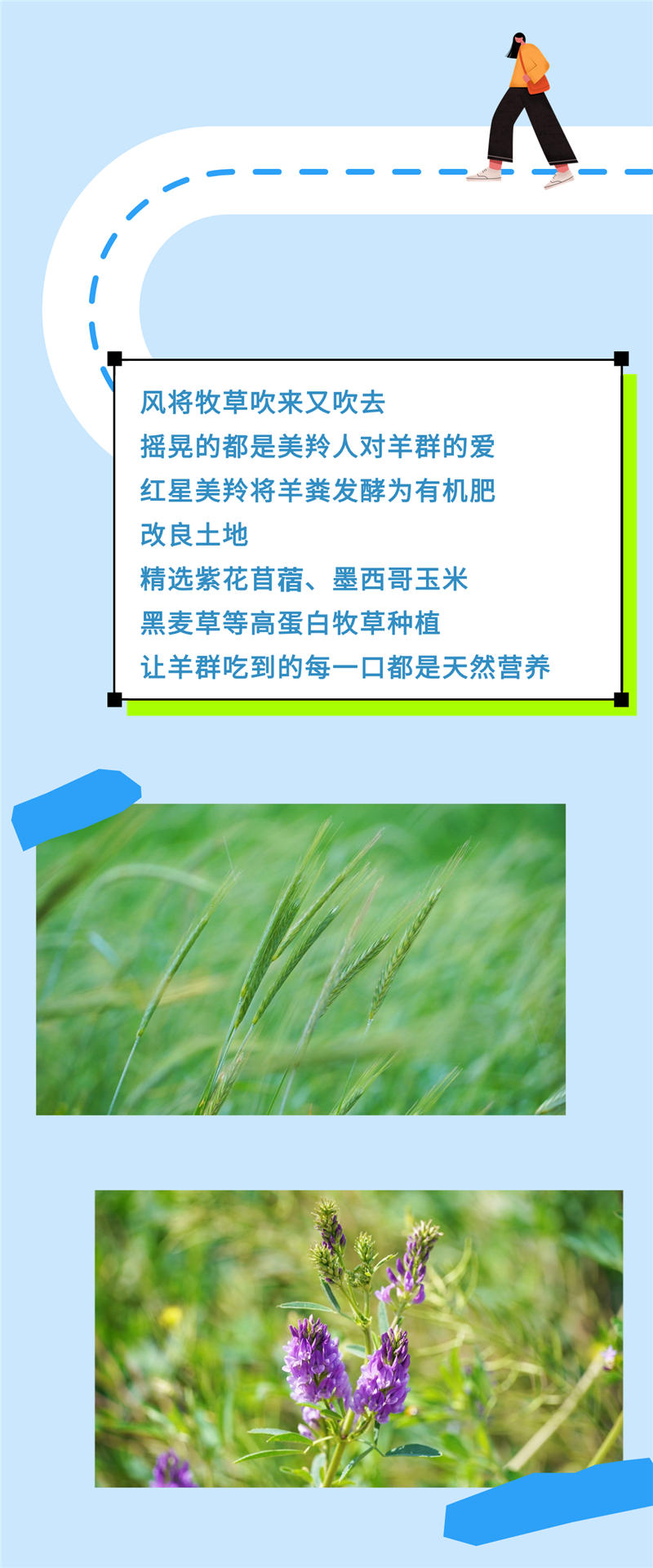 稿定设计-7.jpg