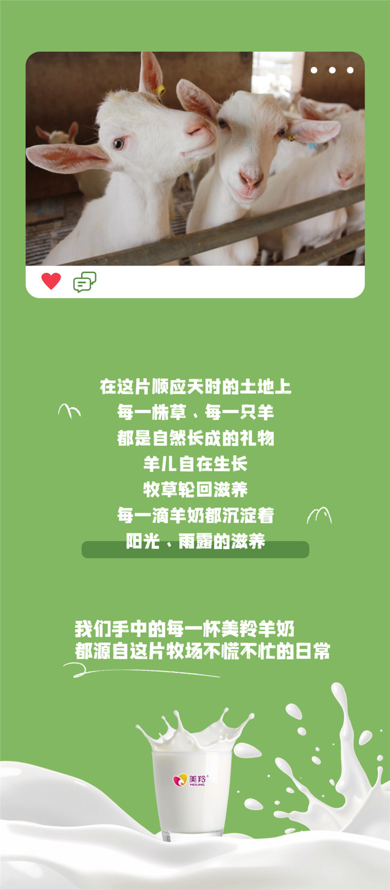 稿定设计-6.jpg